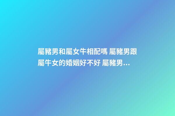 屬豬男和屬女牛相配嗎 屬豬男跟屬牛女的婚姻好不好 屬豬男和屬牛女結婚合適嗎-第1張-觀點-玄機派